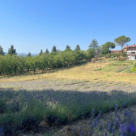 Agriturismo Villa Beatrice Mondavio Экстерьер фото