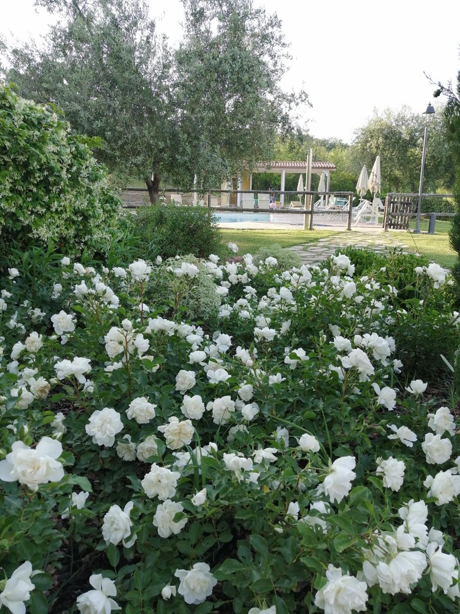 Agriturismo Villa Beatrice Mondavio Экстерьер фото